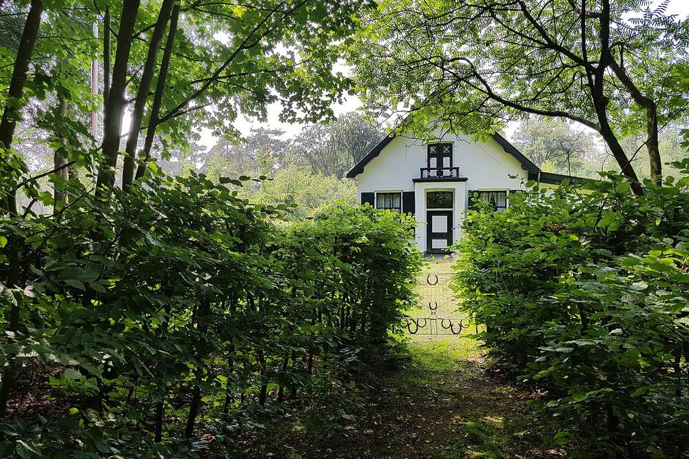 Zonnig bospad tussen hoge beukenhagen bij De Leyen in Bilthoven, met aan het eind een wit huis met zwarte luiken achter een smeedijzeren hek