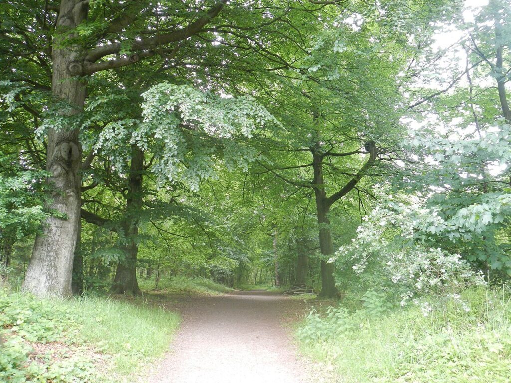 Natuurwandeling houdringe in Bilthoven