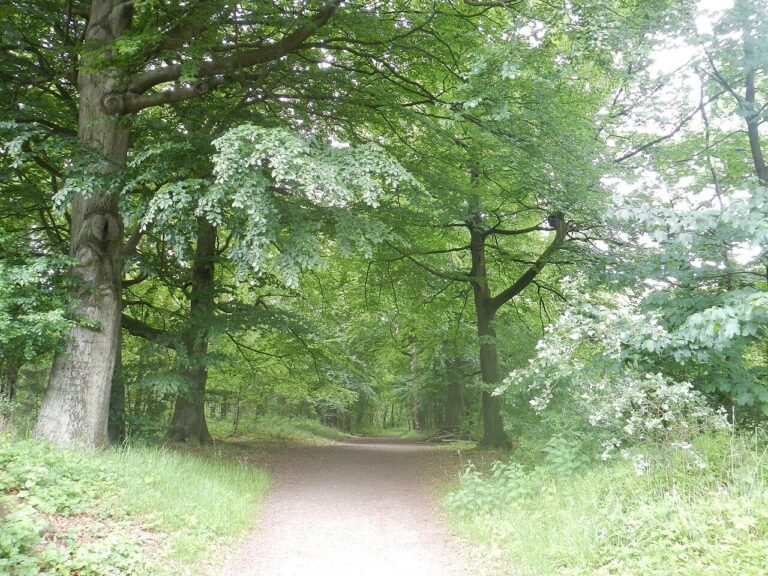 Natuurwandeling houdringe